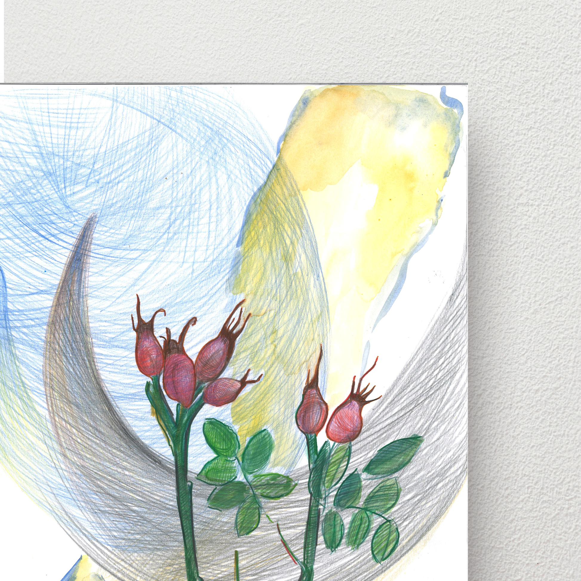 5062c637-15e3-41d7-85ae-dfc5a643f71b