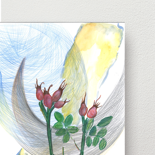 5062c637-15e3-41d7-85ae-dfc5a643f71b