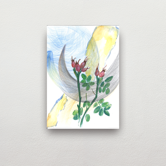 5cea028f-449f-4b12-84d4-31cb91b13d38